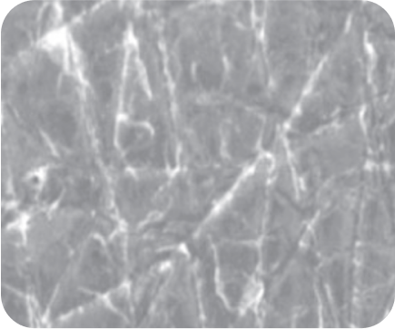 Hydratation de la peau semaine 0