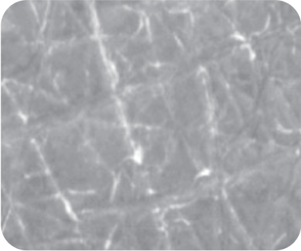 Hydratation de la peau semaine 4