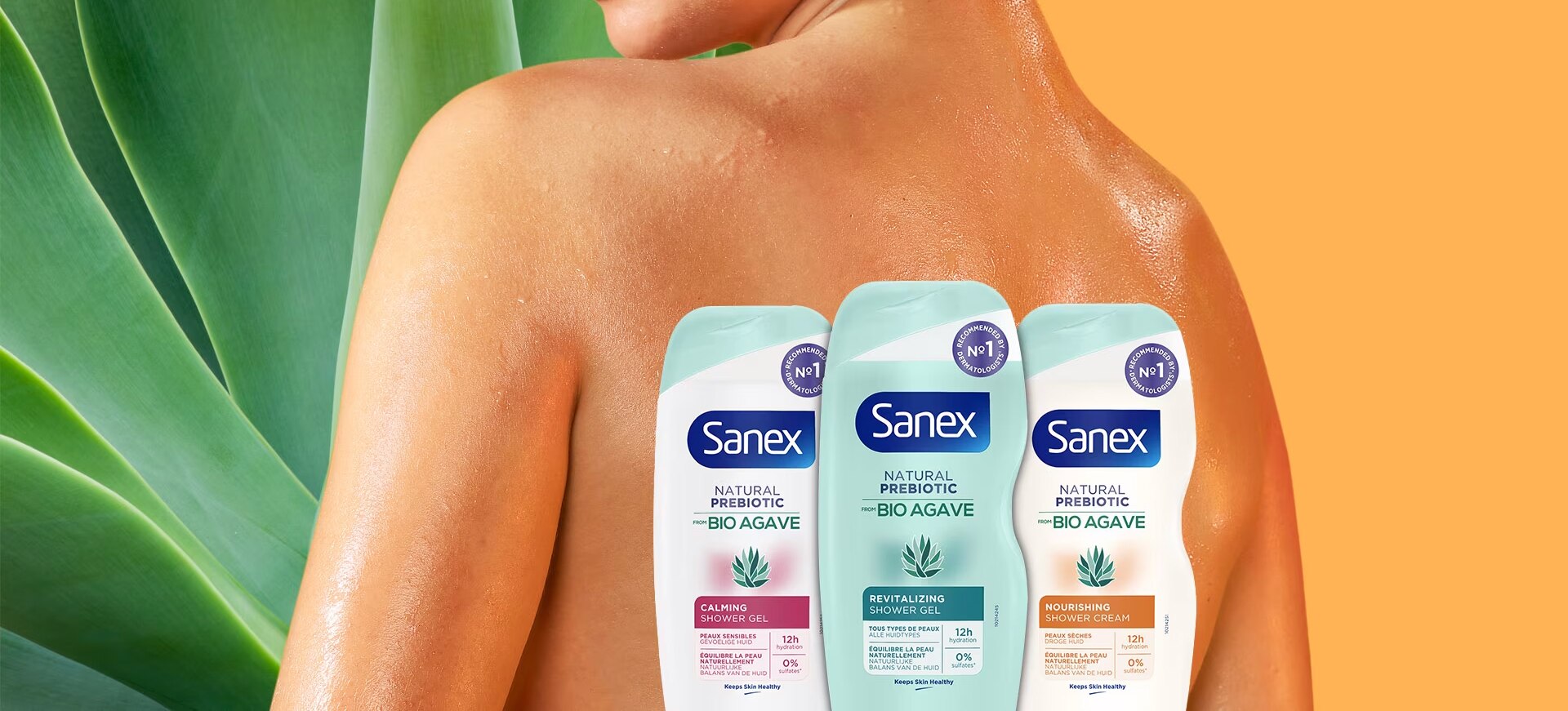Bannière publicitaire montrant le dos nu et humide d'une femme à côté de feuilles d'agave. Trois flacons de la gamme Sanex Natural Prebiotic (Calming, Revitalizing, Nourishing) sont présentés devant elle.