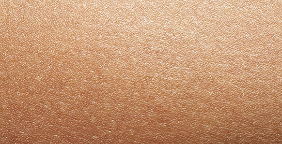 Sanex test type de peau peau normale