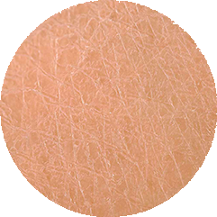 Un cercle montrant en gros plan une peau présentant de fines lignes de déshydratation.